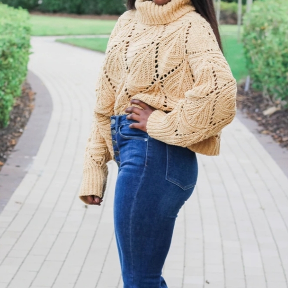 POL Sweaters - POL Camel Cropped Eyelet Cutout Chenille Sweater